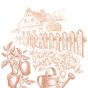 Kresba s příchutí PAPRIKA