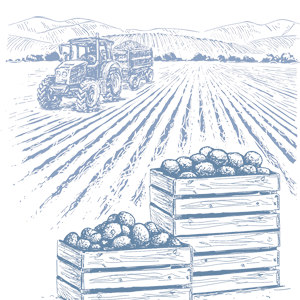 Kresba s příchutí SLANÉ