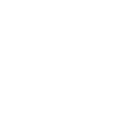 Logo - Slunecnice HOSO