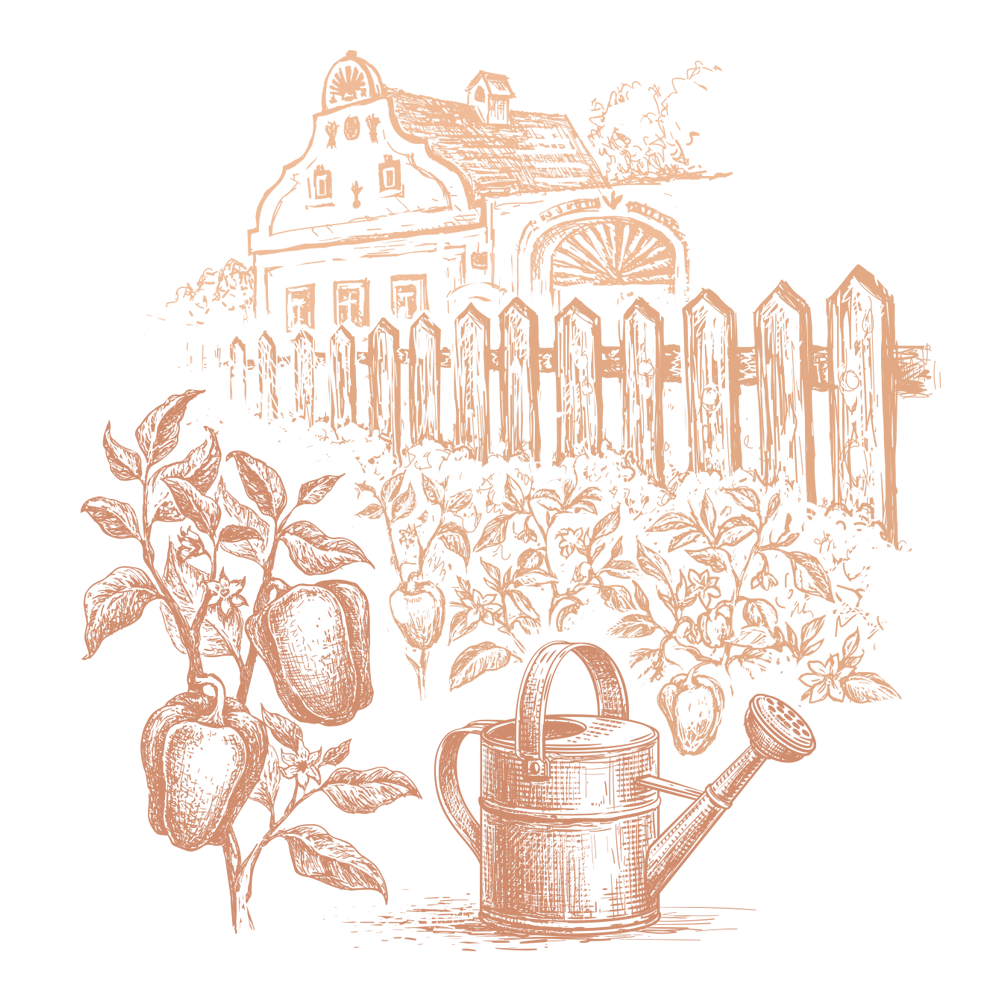 Panel - PRODUKTY - Kresba - PAPRIKA