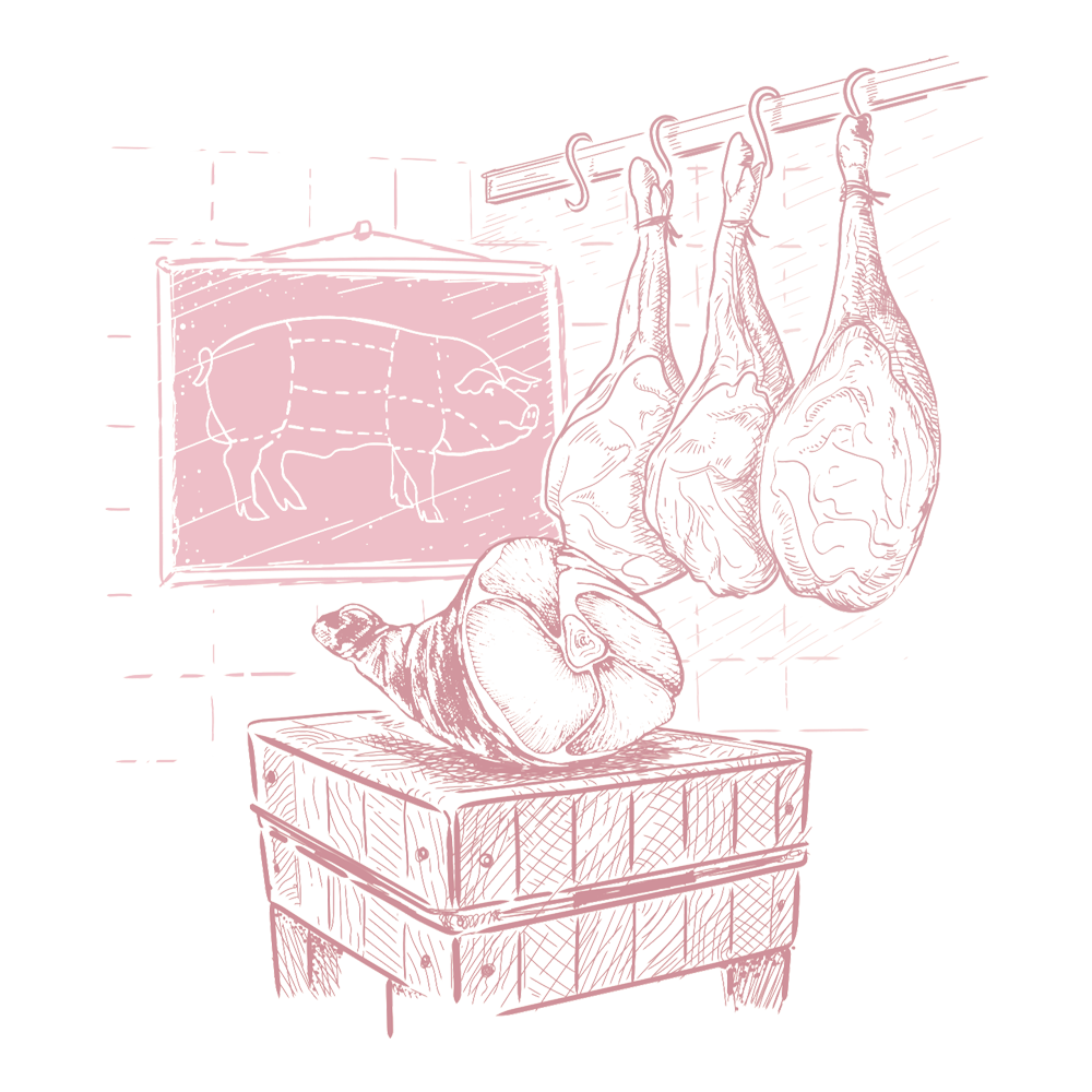 Panel - PRODUKTY - Kresba  - ŠUNKA